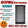 Форма для тротуарной плитки Олимп 600*300*60 мм 1891 - фото 6781