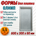Форма для тротуарной плитки Олимп 600*300*60 мм 1874 - фото 6787