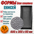 Форма для тротуарной плитки Енисей ТФС 600*300*60 мм 2027