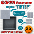 Форма для тротуарной плитки Питер №1 ТФС 200*200*30 мм 2035